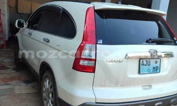 Buy New Honda CR-V White Car in Maputo in Maputo Buy New Honda CR-V White Car in Maputo in Maputo