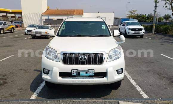 Comprar Novo Toyota Land Cruiser Prado Branco Carro em Maputo em Maputo Comprar Novo Toyota Land Cruiser Prado Branco Carro em Maputo em Maputo