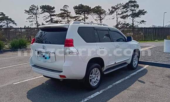 Comprar Novo Toyota Land Cruiser Prado Branco Carro em Maputo em Maputo Comprar Novo Toyota Land Cruiser Prado Branco Carro em Maputo em Maputo