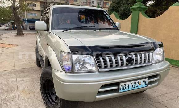 Nunua Ilio tumika Toyota Land Cruiser Prado Nyingine Gari ndani ya Maputo nchini Maputo Nunua Ilio tumika Toyota Land Cruiser Prado Nyingine Gari ndani ya Maputo nchini Maputo