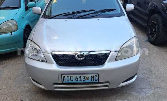 Comprar Usado Toyota Runx Prata Carro em Maputo em Maputo Comprar Usado Toyota Runx Prata Carro em Maputo em Maputo