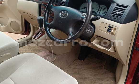 Tenga Tsaru Toyota Spacio Tsvuku Mota in Maputo in Maputo Tenga Tsaru Toyota Spacio Tsvuku Mota in Maputo in Maputo