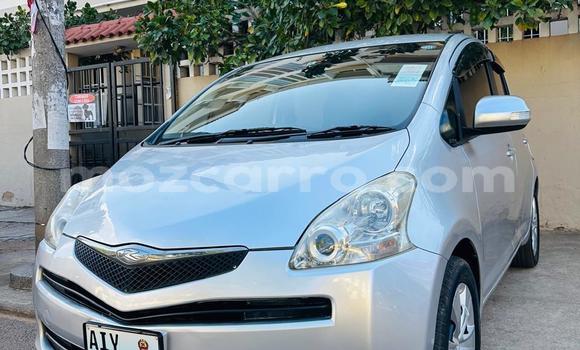 Tenga Tsaru Toyota Ractis Sirivha Mota in Maputo in Maputo Tenga Tsaru Toyota Ractis Sirivha Mota in Maputo in Maputo