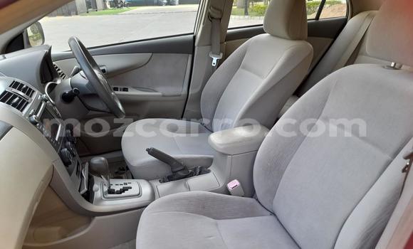 Nunua Ilio tumika Toyota Allion Nyeupe Gari ndani ya Maputo nchini Maputo Nunua Ilio tumika Toyota Allion Nyeupe Gari ndani ya Maputo nchini Maputo