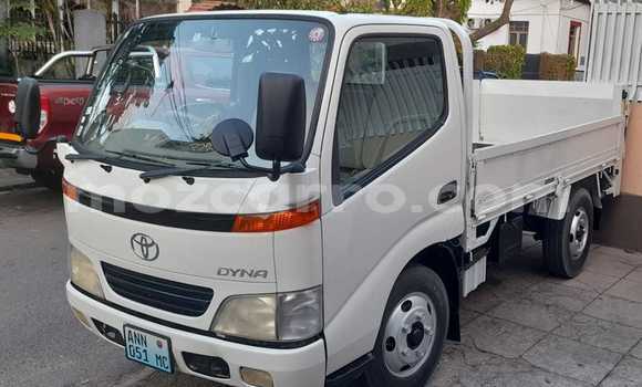 Buy New Toyota Dyna White Truck in Maputo in Maputo Buy New Toyota Dyna White Truck in Maputo in Maputo