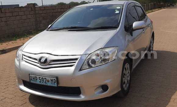 Comprar Novo Toyota Auris Prata Carro em Maputo em Maputo Comprar Novo Toyota Auris Prata Carro em Maputo em Maputo