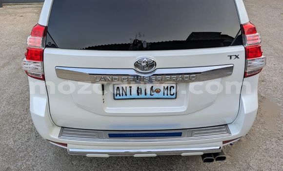 Buy New Toyota Land Cruiser Prado White Car in Maputo in Maputo Buy New Toyota Land Cruiser Prado White Car in Maputo in Maputo