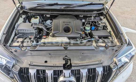 Buy Used Toyota Land Cruiser Prado White Car in Maputo in Maputo Buy Used Toyota Land Cruiser Prado White Car in Maputo in Maputo