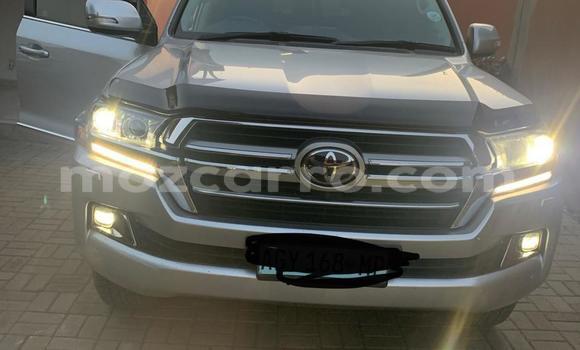 Buy New Toyota Land Cruiser Silver Car in Maputo in Maputo Buy New Toyota Land Cruiser Silver Car in Maputo in Maputo