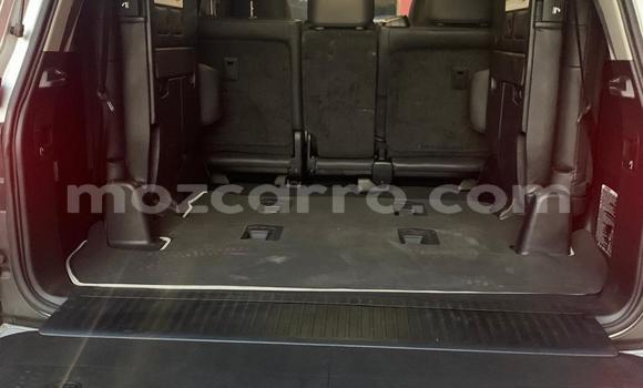 Buy New Toyota Land Cruiser Silver Car in Maputo in Maputo Buy New Toyota Land Cruiser Silver Car in Maputo in Maputo