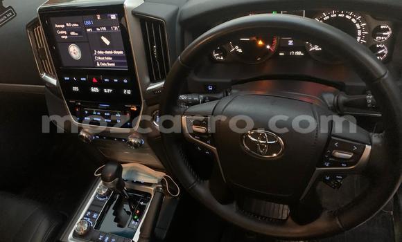 Buy New Toyota Land Cruiser Silver Car in Maputo in Maputo Buy New Toyota Land Cruiser Silver Car in Maputo in Maputo