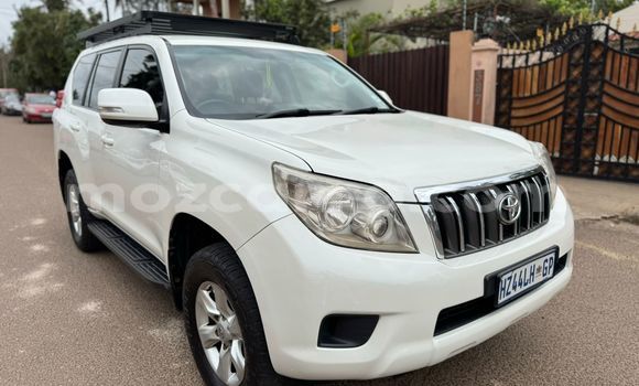 Tenga Tsaru Toyota Prado Chena Mota in Maputo in Maputo