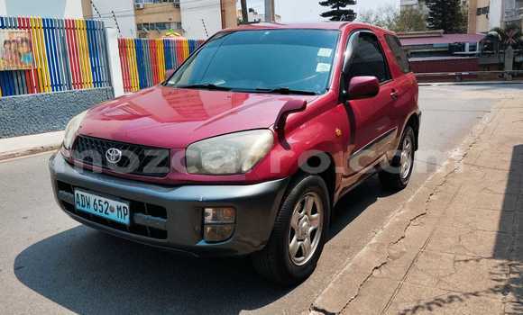 Buy Used Toyota RAV4 Red Car in Maputo in Maputo Buy Used Toyota RAV4 Red Car in Maputo in Maputo