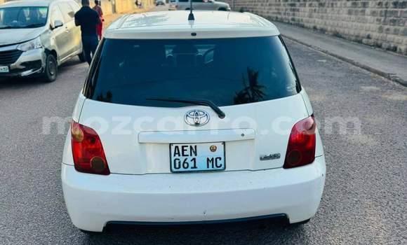 Tenga Tsaru Toyota IST Chena Mota in Maputo in Maputo Tenga Tsaru Toyota IST Chena Mota in Maputo in Maputo