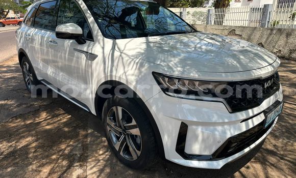 Buy New Kia Sorento White Car in Maputo in Maputo Buy New Kia Sorento White Car in Maputo in Maputo