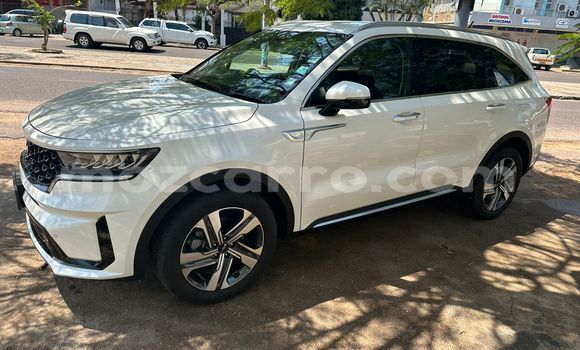 Buy New Kia Sorento White Car in Maputo in Maputo Buy New Kia Sorento White Car in Maputo in Maputo