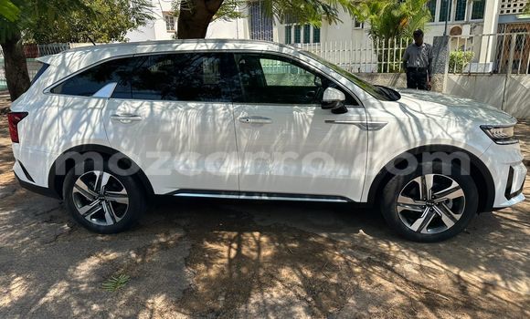 Buy New Kia Sorento White Car in Maputo in Maputo Buy New Kia Sorento White Car in Maputo in Maputo