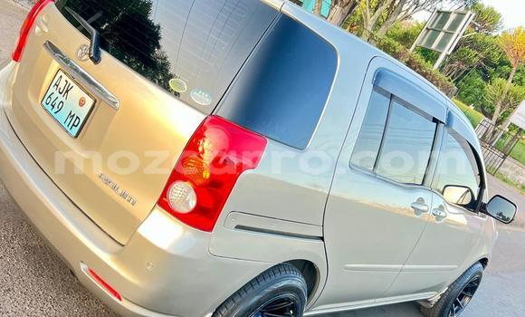 Tenga Tsaru Toyota Raum Sirivha Mota in Maputo in Maputo Tenga Tsaru Toyota Raum Sirivha Mota in Maputo in Maputo