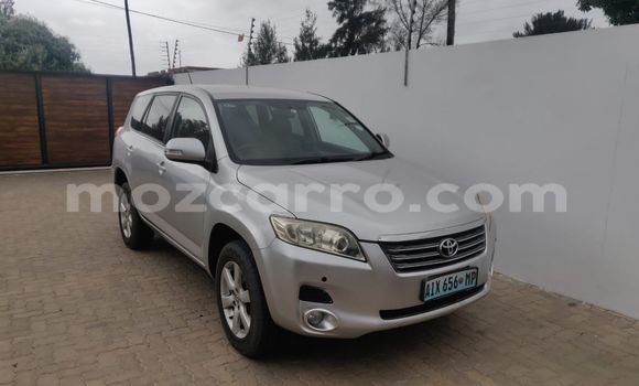 Buy Used Toyota Vanguard Other Car in Maputo in Maputo Buy Used Toyota Vanguard Other Car in Maputo in Maputo