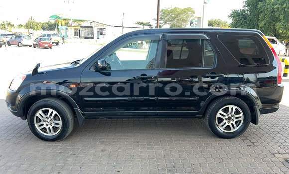 Tenga Tsaru Honda CR-V Nhema Mota in Maputo in Maputo Tenga Tsaru Honda CR-V Nhema Mota in Maputo in Maputo