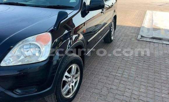 Tenga Tsaru Honda CR-V Nhema Mota in Maputo in Maputo Tenga Tsaru Honda CR-V Nhema Mota in Maputo in Maputo