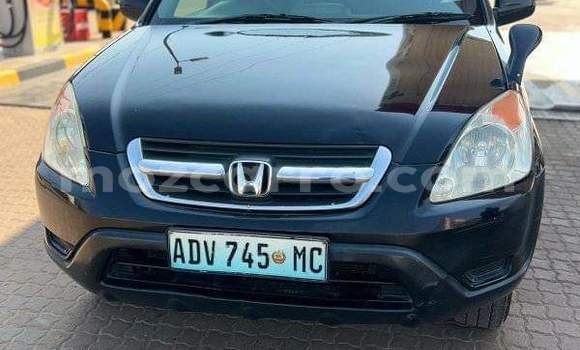 Tenga Tsaru Honda CR-V Nhema Mota in Maputo in Maputo Tenga Tsaru Honda CR-V Nhema Mota in Maputo in Maputo