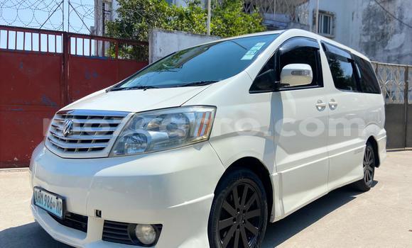 Buy Used Toyota Alphard White Car in Maputo in Maputo