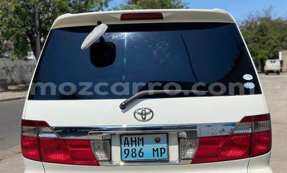 Buy Used Toyota Alphard White Car in Maputo in Maputo Buy Used Toyota Alphard White Car in Maputo in Maputo