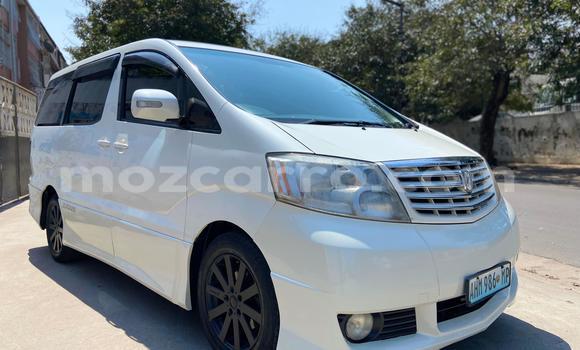Buy Used Toyota Alphard White Car in Maputo in Maputo Buy Used Toyota Alphard White Car in Maputo in Maputo