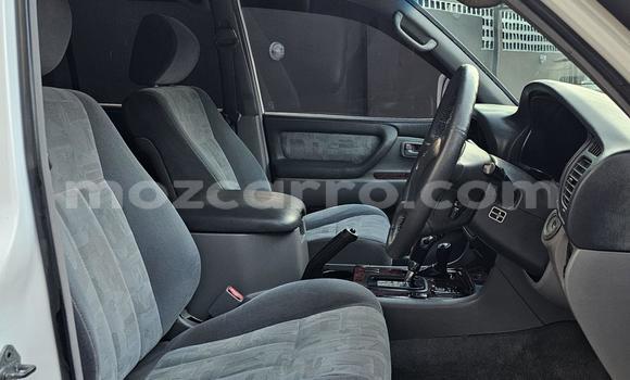 Comprar Usado Toyota Land Cruiser Prado Branco Carro em Maputo em Maputo Comprar Usado Toyota Land Cruiser Prado Branco Carro em Maputo em Maputo