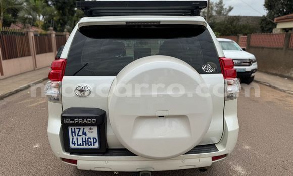 Buy New Toyota Land Cruiser Prado White Car in Maputo in Maputo Buy New Toyota Land Cruiser Prado White Car in Maputo in Maputo