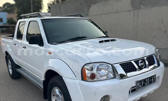 Buy Used Nissan Hardbody White Car in Maputo in Maputo Buy Used Nissan Hardbody White Car in Maputo in Maputo