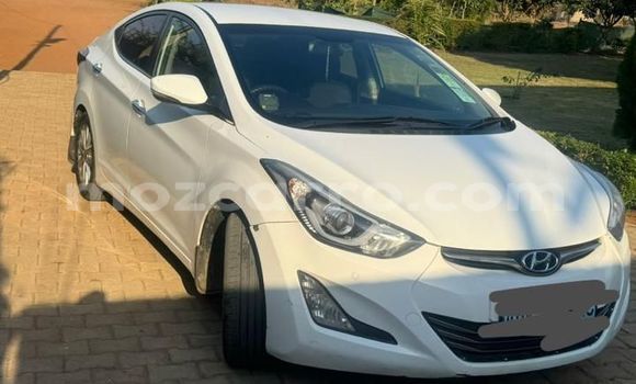 Tenga Tsaru Hyundai Elantra Chena Mota in Maputo in Maputo Tenga Tsaru Hyundai Elantra Chena Mota in Maputo in Maputo