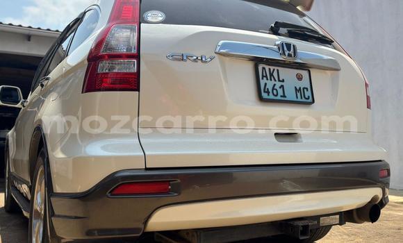 Tenga Tsaru Honda CR-V Chena Mota in Maputo in Maputo Tenga Tsaru Honda CR-V Chena Mota in Maputo in Maputo