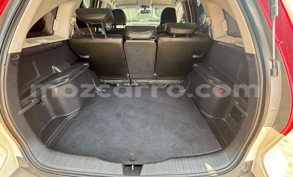 Tenga Tsaru Honda CR-V Chena Mota in Maputo in Maputo Tenga Tsaru Honda CR-V Chena Mota in Maputo in Maputo