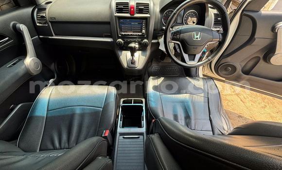 Tenga Tsaru Honda CR-V Chena Mota in Maputo in Maputo Tenga Tsaru Honda CR-V Chena Mota in Maputo in Maputo