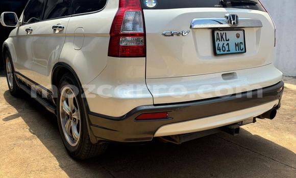 Tenga Tsaru Honda CR-V Chena Mota in Maputo in Maputo Tenga Tsaru Honda CR-V Chena Mota in Maputo in Maputo