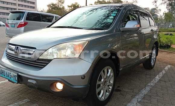 Buy Used Honda CR-V Other Car in Maputo in Maputo Buy Used Honda CR-V Other Car in Maputo in Maputo