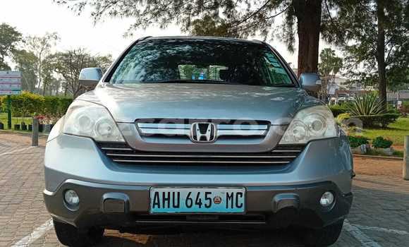 Buy Used Honda CR-V Other Car in Maputo in Maputo Buy Used Honda CR-V Other Car in Maputo in Maputo
