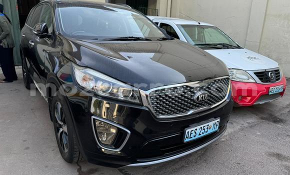 Buy Used Kia Sorento Other Car in Maputo in Maputo Buy Used Kia Sorento Other Car in Maputo in Maputo