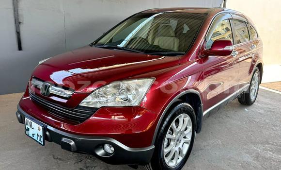 Buy New Honda CR-V Other Car in Maputo in Maputo