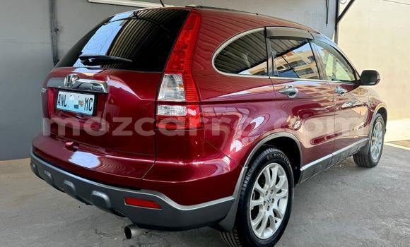 Comprar Novo Honda CR-V De outros Carro em Maputo em Maputo Comprar Novo Honda CR-V De outros Carro em Maputo em Maputo