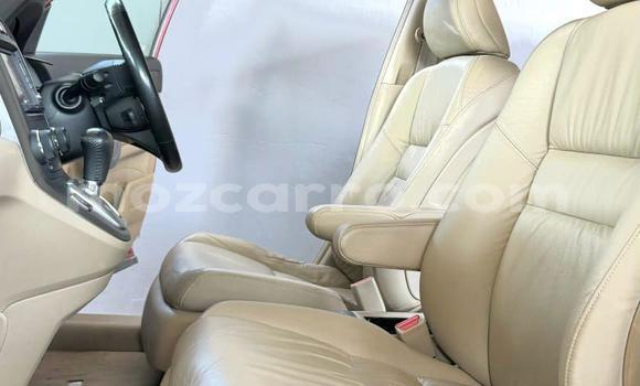 Comprar Novo Honda CR-V De outros Carro em Maputo em Maputo Comprar Novo Honda CR-V De outros Carro em Maputo em Maputo