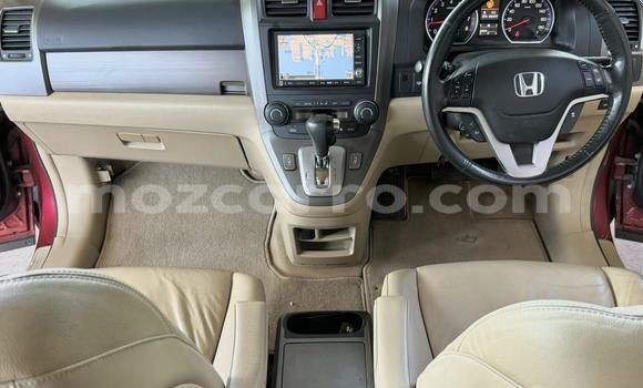 Comprar Novo Honda CR-V De outros Carro em Maputo em Maputo Comprar Novo Honda CR-V De outros Carro em Maputo em Maputo