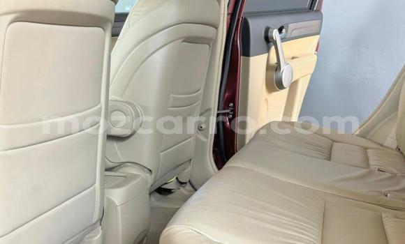 Comprar Novo Honda CR-V De outros Carro em Maputo em Maputo Comprar Novo Honda CR-V De outros Carro em Maputo em Maputo
