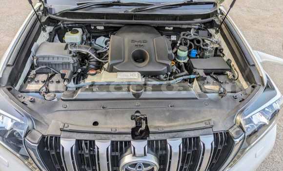 Nunua Mpya Toyota Land Cruiser Prado Nyeupe Gari ndani ya Maputo nchini Maputo Nunua Mpya Toyota Land Cruiser Prado Nyeupe Gari ndani ya Maputo nchini Maputo
