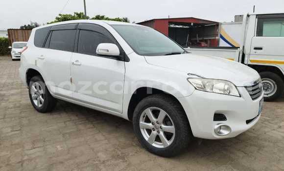 Buy New Toyota Vanguard White Car in Maputo in Maputo Buy New Toyota Vanguard White Car in Maputo in Maputo
