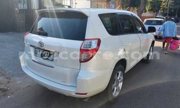 Buy New Toyota Vanguard White Car in Maputo in Maputo Buy New Toyota Vanguard White Car in Maputo in Maputo