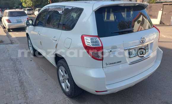 Buy New Toyota Vanguard White Car in Maputo in Maputo Buy New Toyota Vanguard White Car in Maputo in Maputo