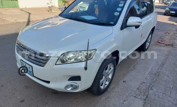 Buy New Toyota Vanguard White Car in Maputo in Maputo Buy New Toyota Vanguard White Car in Maputo in Maputo
